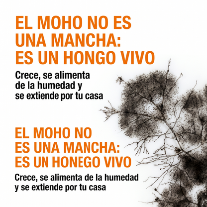 Elimina el moho de Raiz y Evita que vuelva - FlexSpray™ Spray Anti Moho