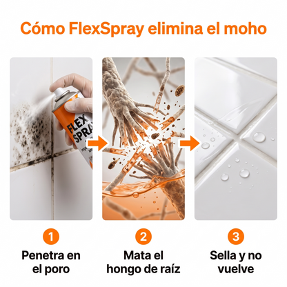 Elimina el moho de Raiz y Evita que vuelva - FlexSpray™ Spray Anti Moho